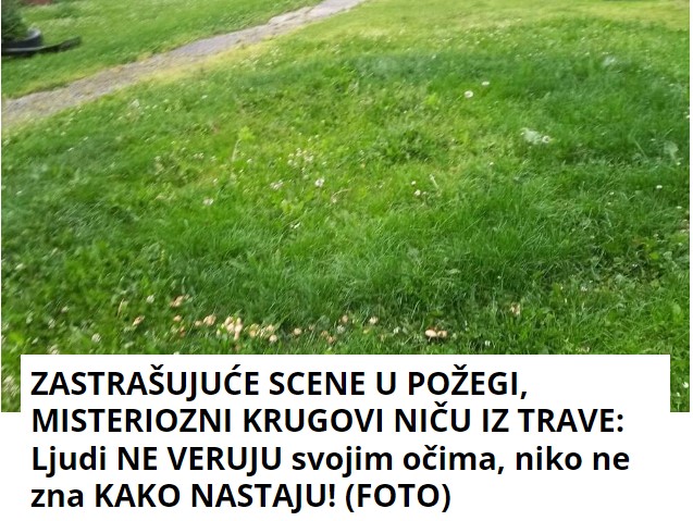 ZASTRAŠUJUĆE SCENE U POŽEGI, MISTERIOZNI KRUGOVI NIČU IZ TRAVE: Ljudi NE VERUJU svojim očima, niko ne zna KAKO NASTAJU! (FOTO)