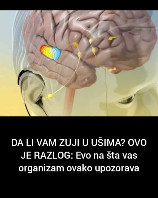 ZUJI VAM U UŠIMA? Evo na šta vas organizam UPOZORAVA, nemojte da ignorišete