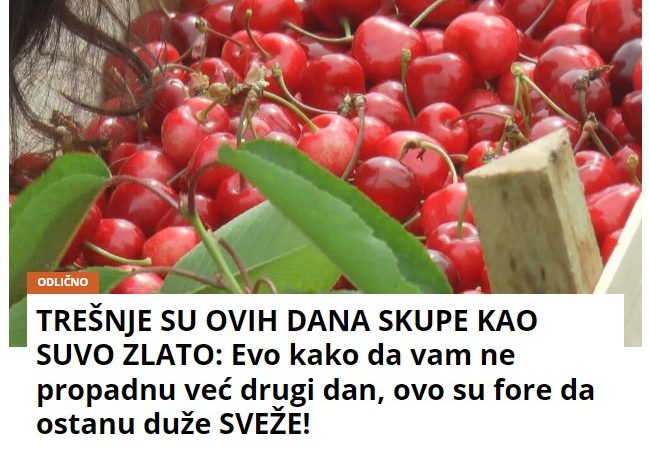 TREŠNJE SU OVIH DANA SKUPE KAO SUVO ZLATO: Evo kako da vam ne propadnu već drugi dan, ovo su fore da ostanu duže SVEŽE!