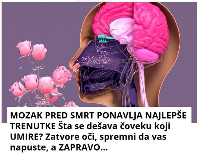 MOZAK PRED SMRT PONAVLJA NAJLEPŠE TRENUTKE Šta se dešava čoveku koji UMIRE? Zatvore oči, spremni da vas napuste, a ZAPRAVO…