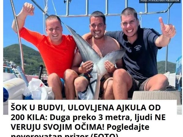 ŠOK U BUDVI, ULOVLJENA AJKULA OD 200 KILA: Duga preko 3 metra, ljudi NE VERUJU SVOJIM OČIMA! Pogledajte neverovatan prizor (FOTO)