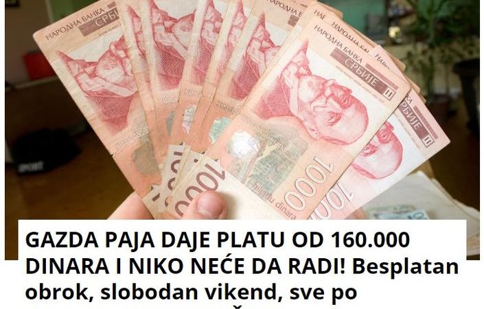 GAZDA PAJA DAJE PLATU OD 160.000 DINARA I NIKO NEĆE DA RADI! Besplatan obrok, slobodan vikend, sve po dogovoru I OPET NIŠTA!