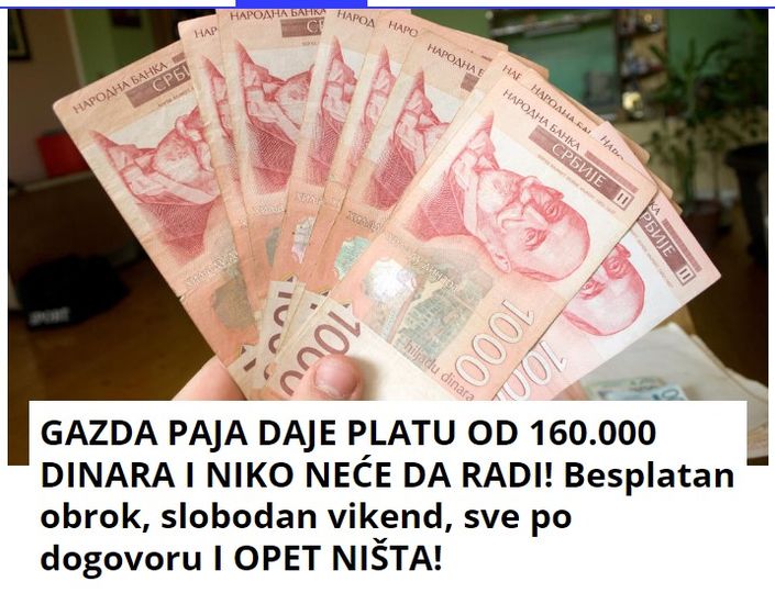 GAZDA PAJA DAJE PLATU OD 160.000 DINARA I NIKO NEĆE DA RADI! Besplatan obrok, slobodan vikend, sve po dogovoru I OPET NIŠTA!