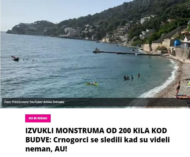 IZVUKLI MONSTRUMA OD 200 KILA KOD BUDVE: Crnogorci se sledili kad su videli neman, AU!