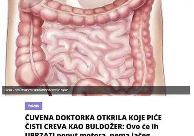 ČUVENA DOKTORKA OTKRILA KOJE PIĆE ČISTI CREVA KAO BULDOŽER: Ovo će ih UBRZATI poput motora, nema jačeg