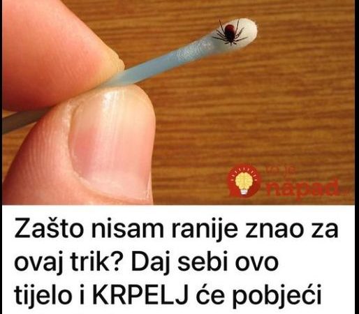 ISKUSTVO ŽENE KOJA SE REŠILA DVADESETAK KRPELJA UZ POMOĆ ČARAPA: Kao rukom ih je sve POTAMANILA, evo u čemu je TRIK