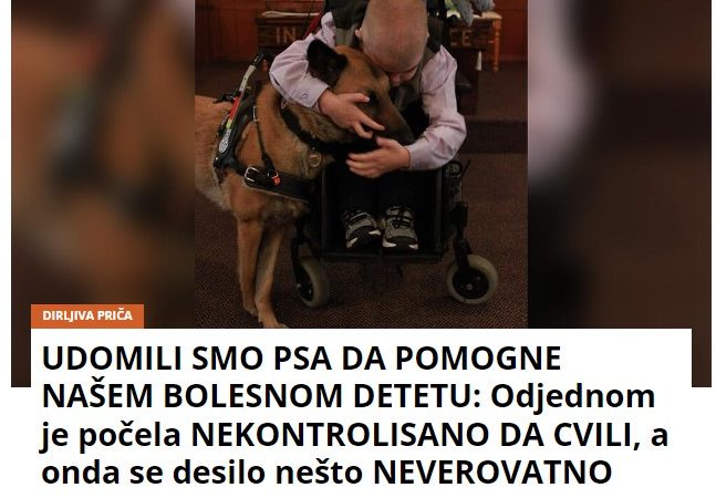 UDOMILI SMO PSA DA POMOGNE NAŠEM BOLESNOM DETETU: Odjednom je počela NEKONTROLISANO DA CVILI, a onda se desilo nešto NEVEROVATNO