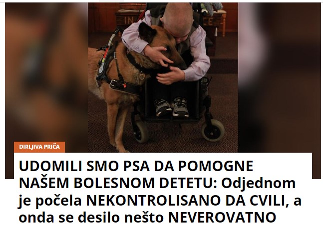 UDOMILI SMO PSA DA POMOGNE NAŠEM BOLESNOM DETETU: Odjednom je počela NEKONTROLISANO DA CVILI, a onda se desilo nešto NEVEROVATNO