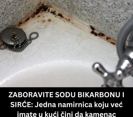 ZAB0RAVTE S0DU BIKARBONU I SIRĆE: