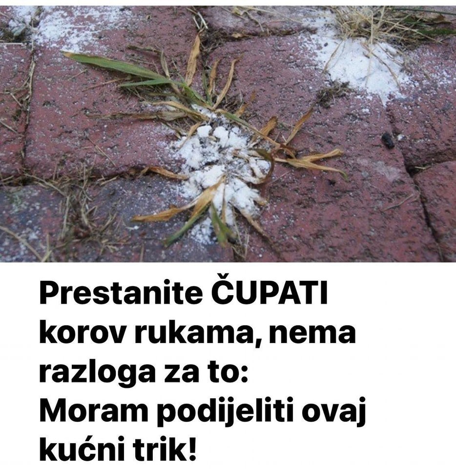 Prestanite ČUPATI Korov Rukama, Nema Razloga Za To