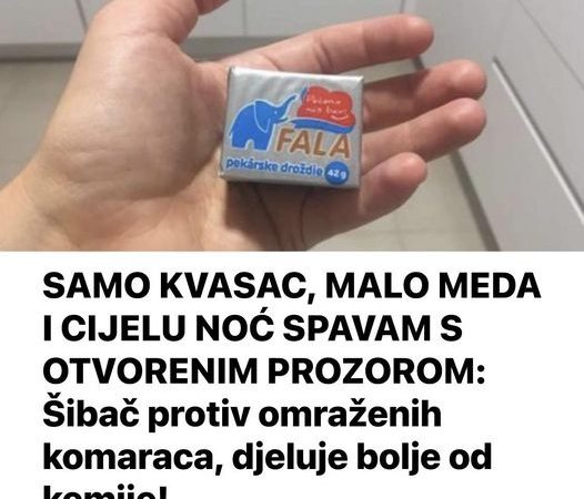 SAMO KVASAC, MALO MEDA I CIJELU NOĆ SPAVAM S OTVORENIM PR0ZOR0M