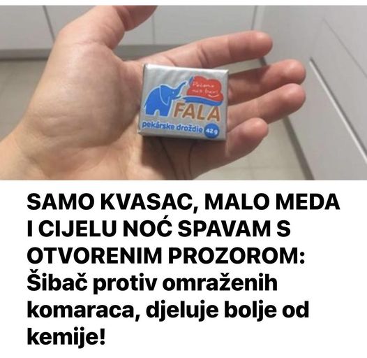 SAMO KVASAC, MALO MEDA I CIJELU NOĆ SPAVAM S OTVORENIM PR0ZOR0M