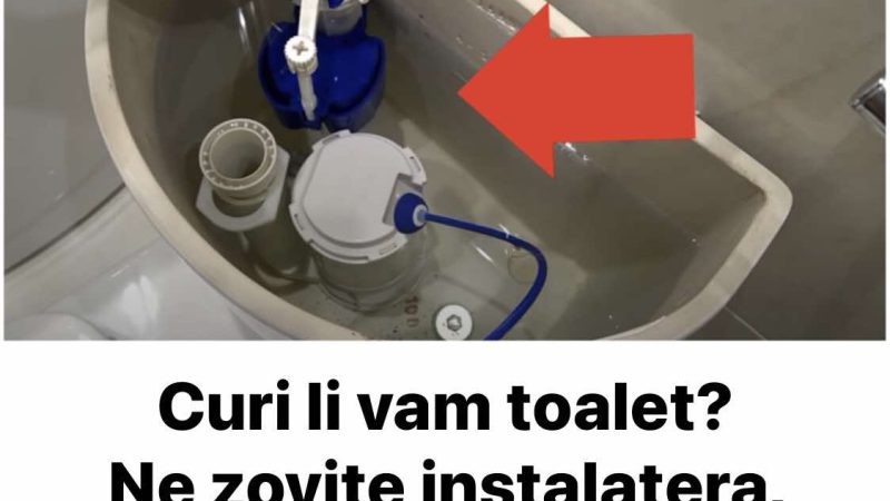 Curi Li Vam Toalet? Ne Zovte Instalatera, Problem Ćete Riješiti U Roku Od 10 MINUTA!