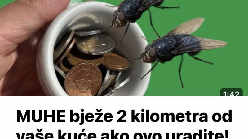 MUHE bježe 2 kilometra od vaše kuće ako ovo uradite! Besplatan rastjerivač