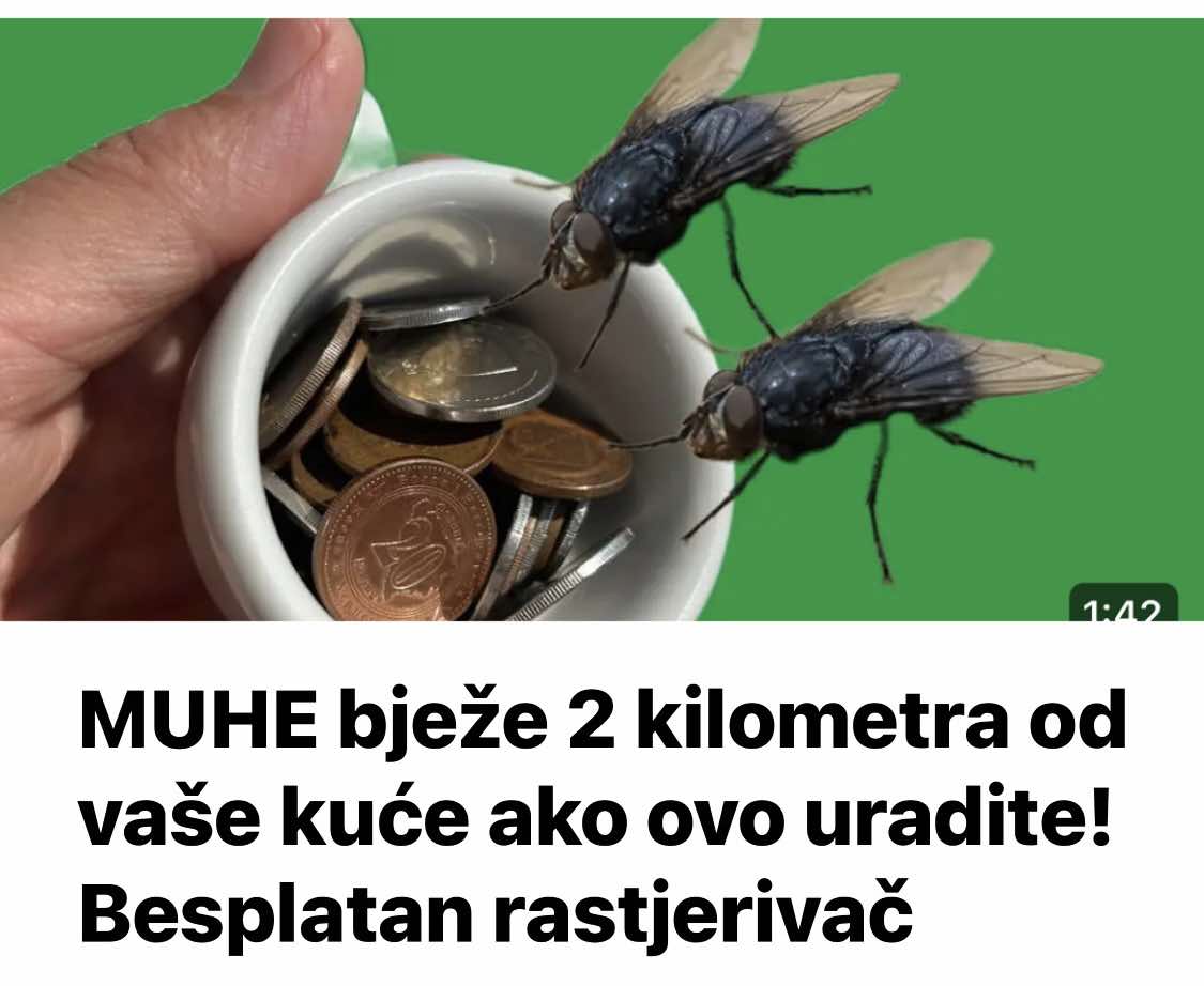 MUHE bježe 2 kilometra od vaše kuće ako ovo uradite! Besplatan rastjerivač