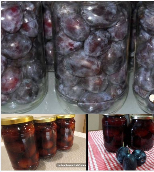 Recept za kompot od šljiva – zimnica od šljiva u teglama, stari bakini prirodni recepti bez hemije