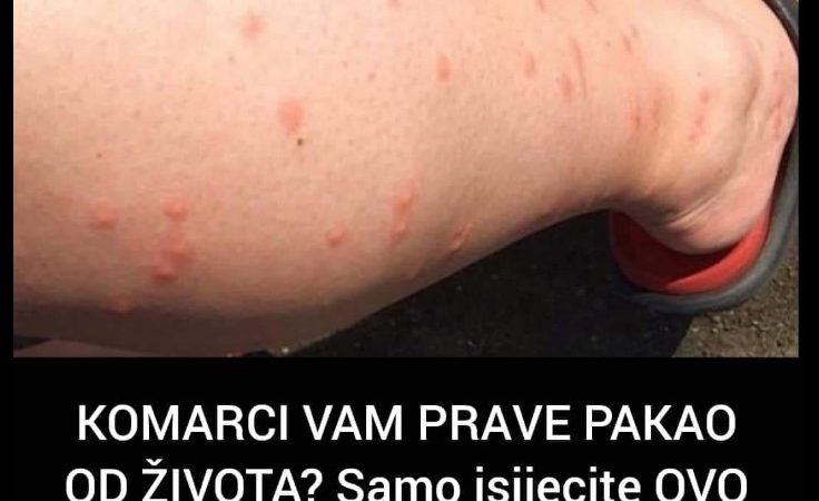 KOMARCI VAM PRAVE PAKA0 OD ŽIVOTA? Samo isijecite OVO VOĆE na pola i ostavite u sobi, VIŠE IH NIKADA NEĆETE VIDJETI BLIZU