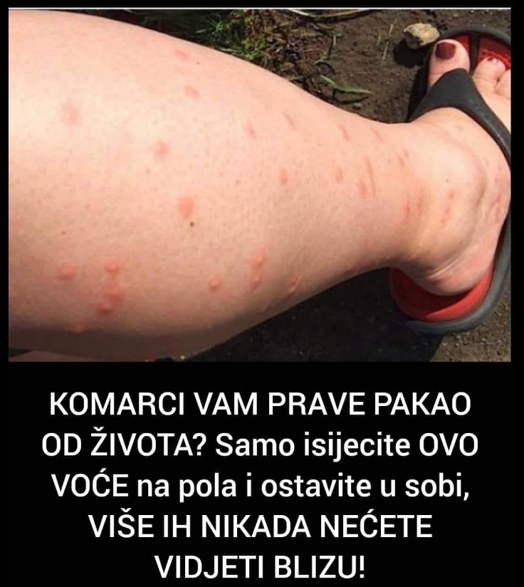 KOMARCI VAM PRAVE PAKA0 OD ŽIVOTA? Samo isijecite OVO VOĆE na pola i ostavite u sobi, VIŠE IH NIKADA NEĆETE VIDJETI BLIZU