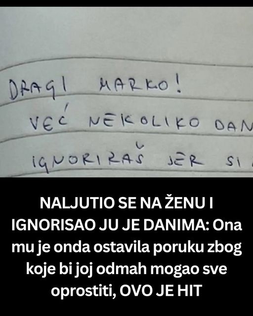 NALJUTIO SE NA ŽENU I IGNORISAO JU JE DANIMA: Ona mu je onda ostavila poruku zbog koje bi joj odmah mogao sve oprostiti, OVO JE HIT