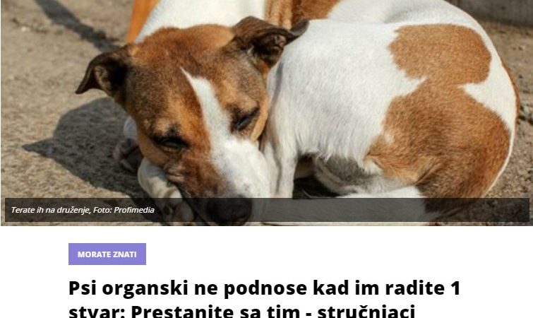 Psi organski ne podnose kad im radite 1 stvar: Prestanite sa tim – stručnjaci otkrili 7 stvari koje ih rastužuju