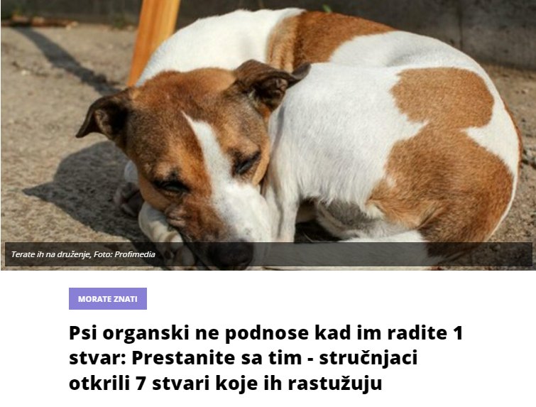 Psi organski ne podnose kad im radite 1 stvar: Prestanite sa tim – stručnjaci otkrili 7 stvari koje ih rastužuju