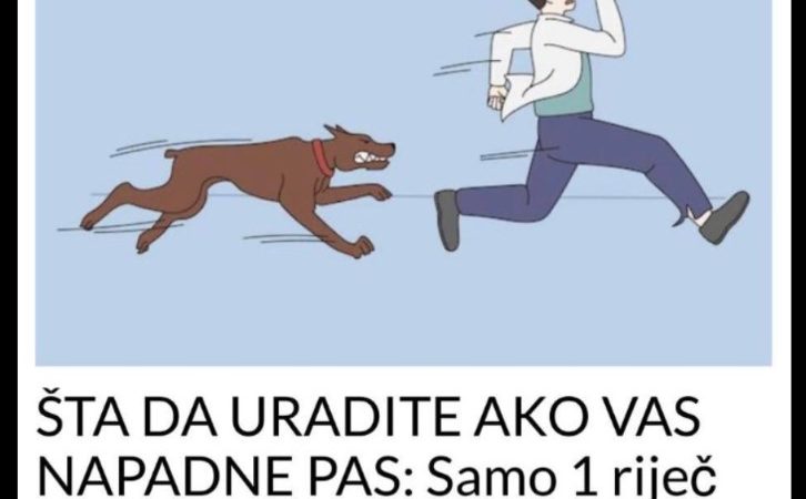 ŠTA DA URADITE AKO VAS NAPADNE PAS: Samo 1 riječ može vas SPASITI, evo kako da se odbranite