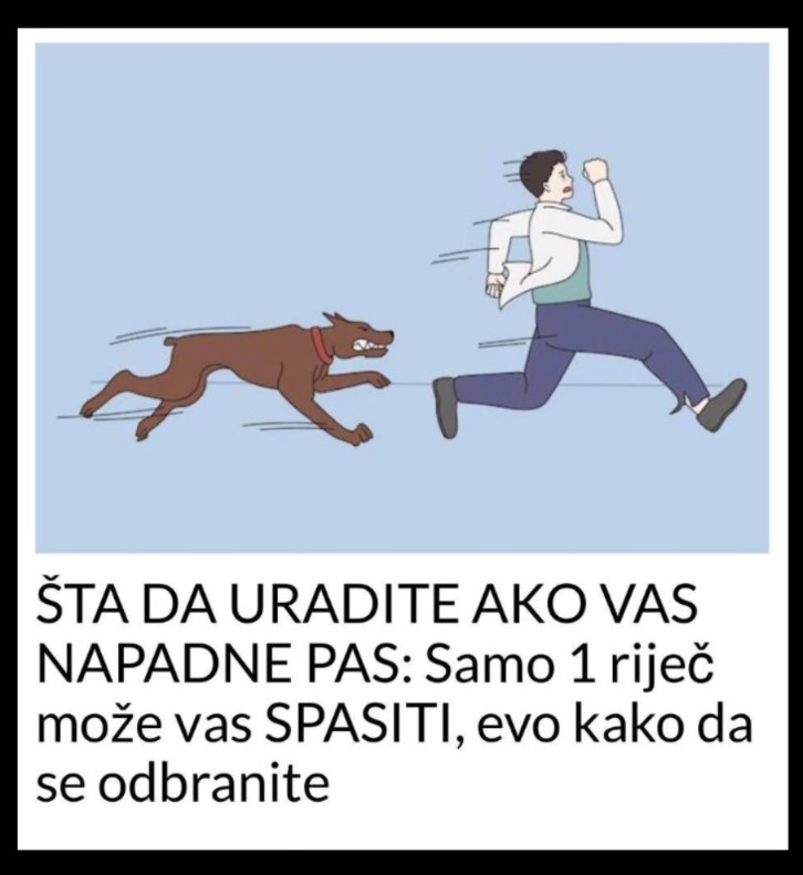 ŠTA DA URADITE AKO VAS NAPADNE PAS: Samo 1 riječ može vas SPASITI, evo kako da se odbranite