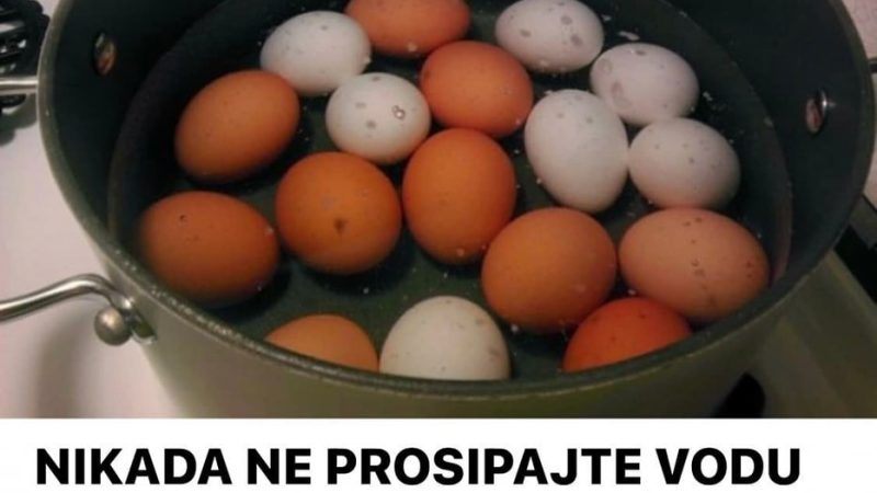 Pravo je blago, a kada vidite zašto koristićete je dok ste živi