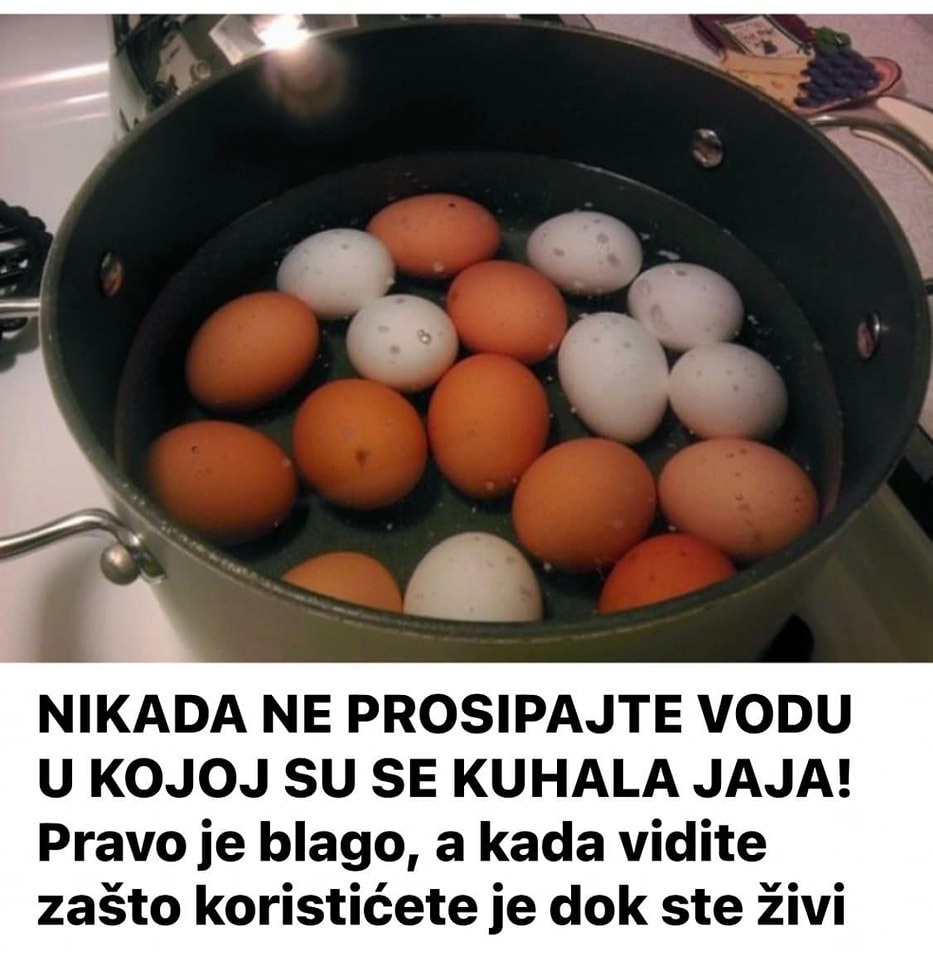 Pravo je blago, a kada vidite zašto koristićete je dok ste živi