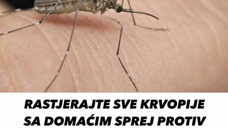 RASTJERAJTE SVE KRVOPIJE SA DOMAĆIM SPREJ PR0TIV KOMARACA OD 2 SASTOJKA: