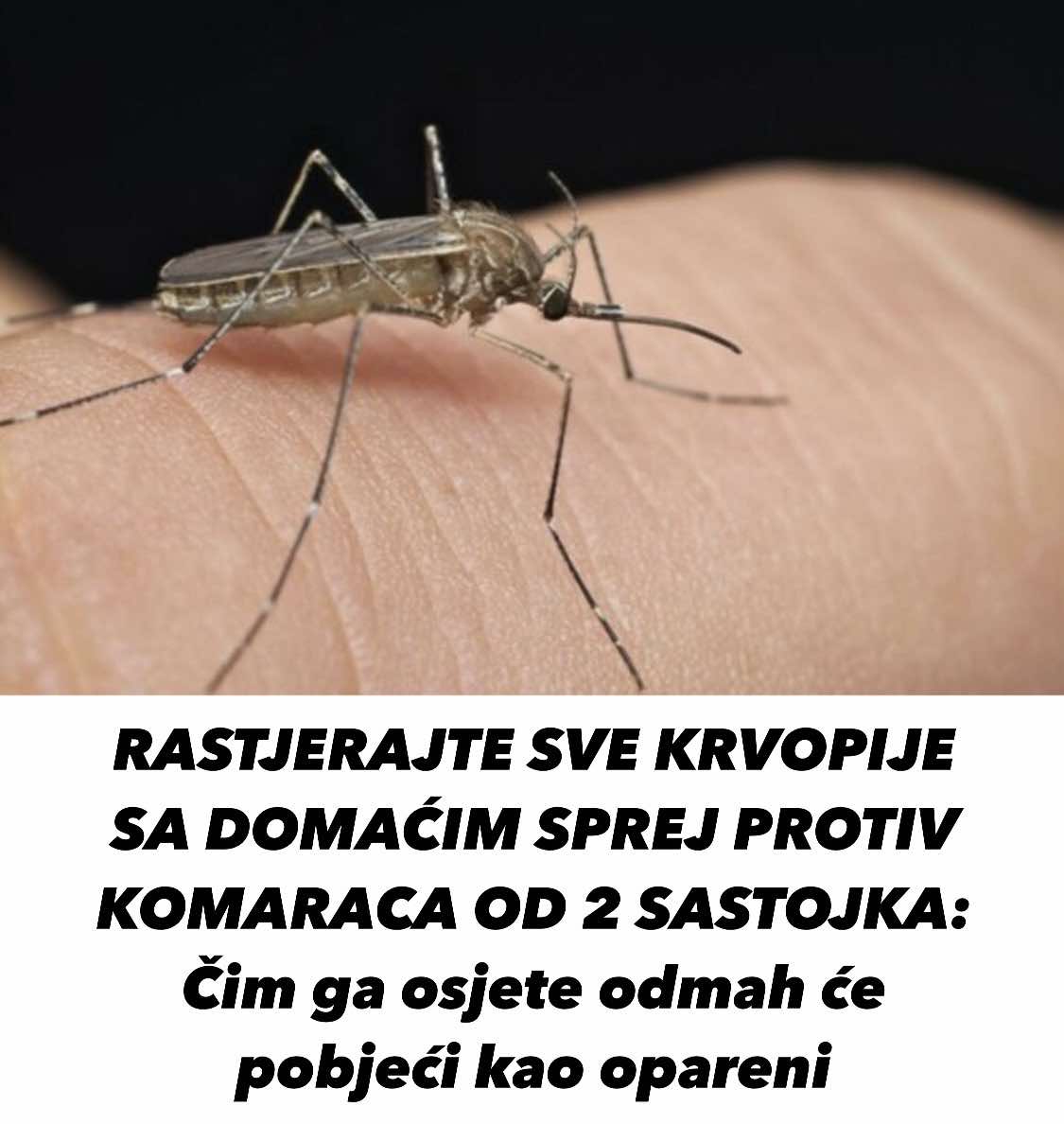 RASTJERAJTE SVE KRVOPIJE SA DOMAĆIM SPREJ PR0TIV KOMARACA OD 2 SASTOJKA: