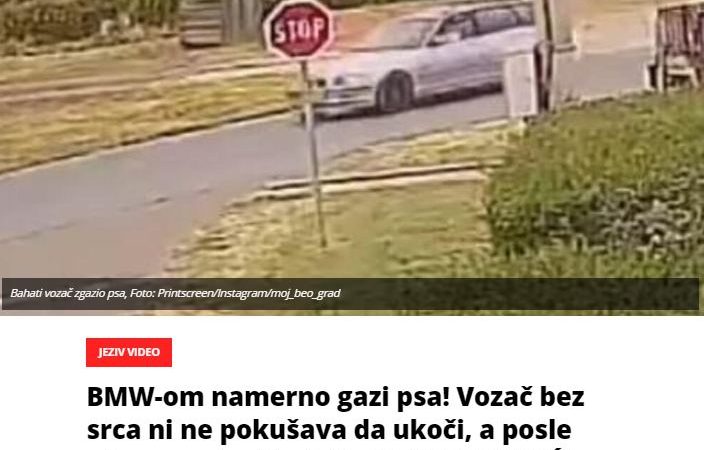 BMW-om namerno gazi psa! Vozač bez srca ni ne pokušava da ukoči, a posle užasa nastavlja dalje (UZNEMIRUJUĆI VIDEO)