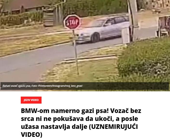 BMW-om namerno gazi psa! Vozač bez srca ni ne pokušava da ukoči, a posle užasa nastavlja dalje (UZNEMIRUJUĆI VIDEO)