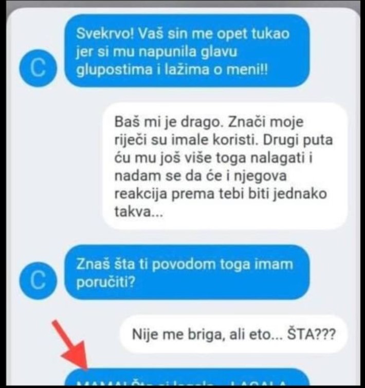 Kad vidite moj SMS sve će vam biti jasno, evo sta sam smislila da se osvetim svekrvi