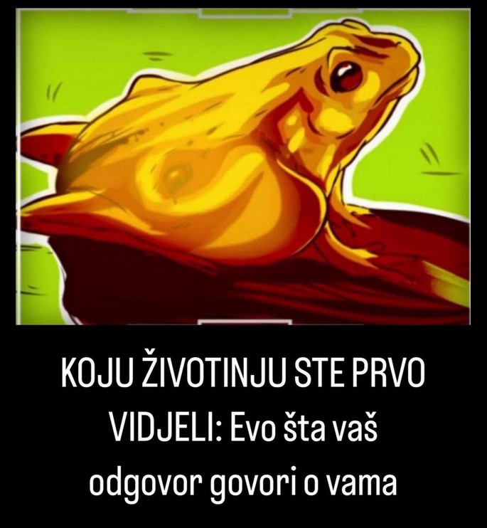 KOJU ŽIVOTINJU STE PRVO VIDJELI: Evo šta vaš odgovor govori o vama