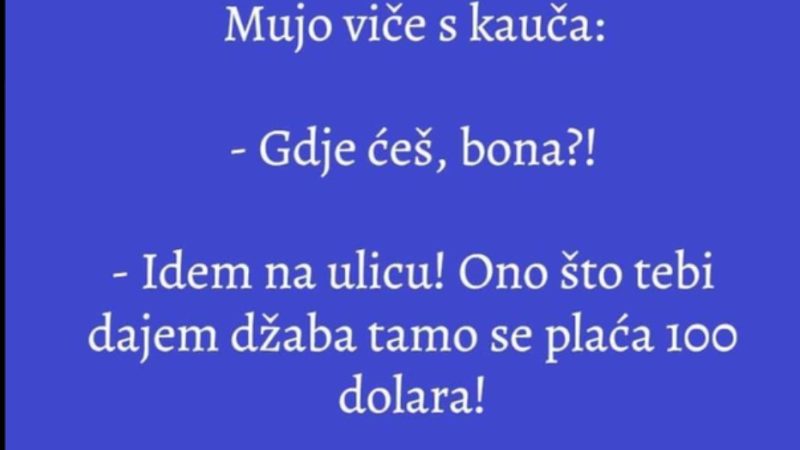 VIC: Fata se pakuje