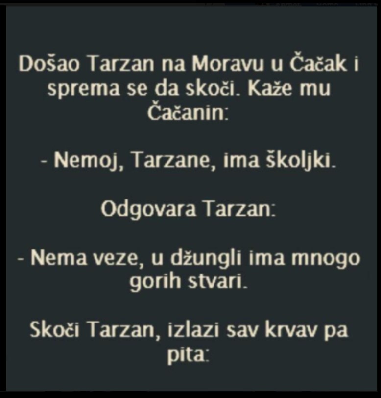 VIC: TARZAN SKAČE U MORAVU