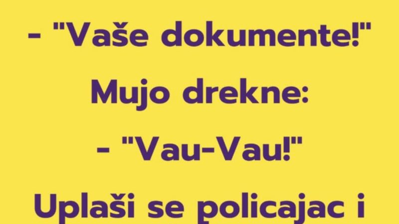 VIC: Mujo i dokumenti