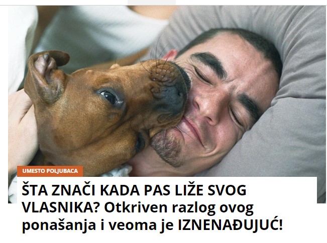 ŠTA ZNAČI KADA PAS LIŽE SVOG VLASNIKA? Otkriven razlog ovog ponašanja i veoma je IZNENAĐUJUĆ!