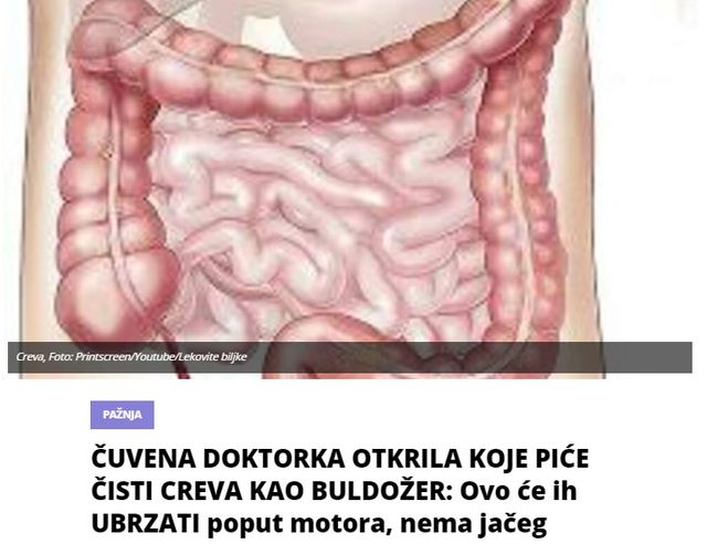 ČUVENA DOKTORKA OTKRILA KOJE PIĆE ČISTI CREVA KAO BULDOŽER: Ovo će ih UBRZATI poput motora, nema jačeg