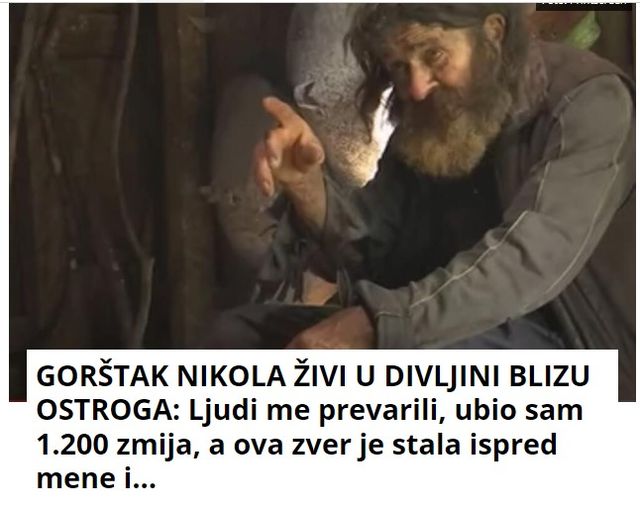 GORŠTAK NIKOLA ŽIVI U DIVLJINI BLIZU OSTROGA: Ljudi me prevarili, ubio sam 1.200 zmija, a ova zver je stala ispred mene i…