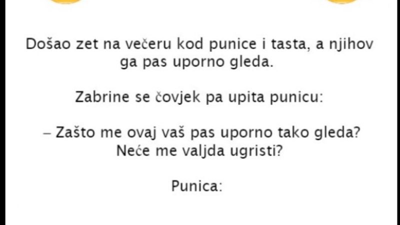 VIC DANA: Kod punice