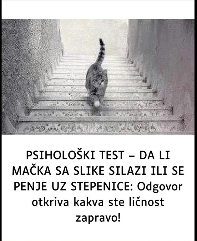 DA LI MAČKA SA SLIKE SILAZI ILI SE PENJE UZ STEPENICE: Odgovor otkriva kakva ste ličnost zapravo!