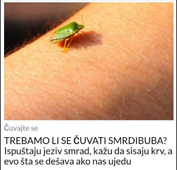 TREBAMO LI SE ČUVATI SMRDIBUBA? Ispuštaju jeziv smrad, kažu da sisaju krv, a evo šta se dešava ako nas ujedu