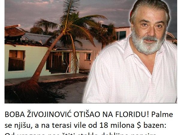 BOBA ŽIVOJINOVIĆ OTIŠAO NA FLORIDU! Palme se njišu, a na terasi vile od 18 milona $ bazen: Od uragana nas štiti staklo debljine pancira!