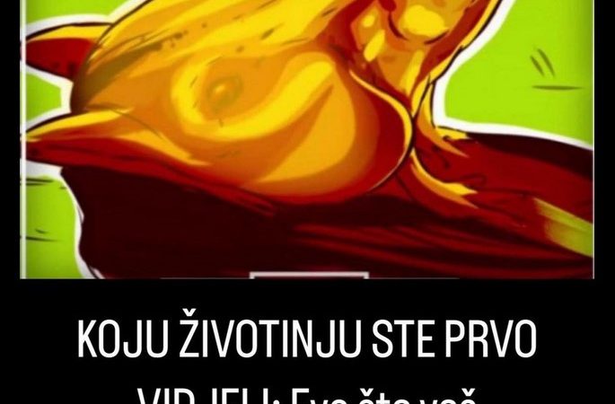 KOJU ŽIVOTINJU STE PRVO VIDJELI: Evo šta vaš odgovor govori o vama