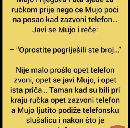 Vic: Mujo i Fata ručaju