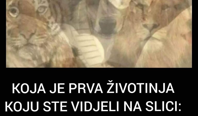 Koja je prva životinja koju ste vidjeli na slici?