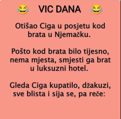 VIC DANA: Ciga u hotelu