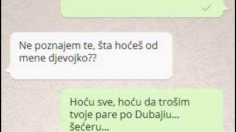 MUŽ ME VARA SA SPONZORUŠAMA, A JA SAM MU POSLALA PORUKU SA NEPOZNATOG BROJA: Kad sam dobila odgovor, htjela sam da U ZEMLJU PROPADNEM